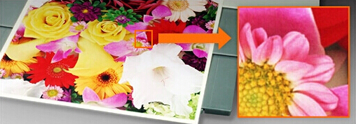 柯尼卡美能達C558原裝碳粉輸出效果