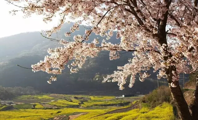 浙江上虞 浙江上虞