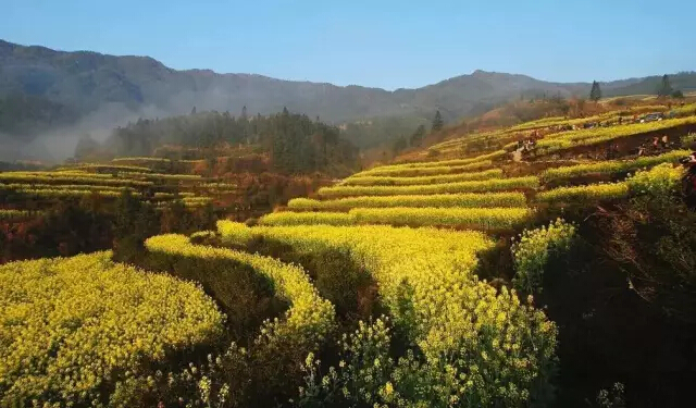 江西婺源 江西婺源