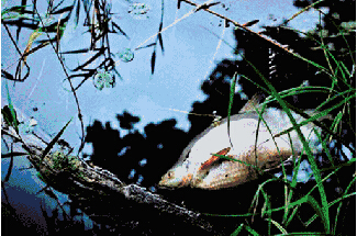 ▲地球環(huán)境不斷惡化 ▲地球環(huán)境不斷惡化