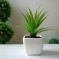 靜謐綠色 靜謐綠色