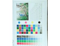 東莞客戶 柯尼卡美能達復(fù)印機C210出P9|P21故障代碼處理